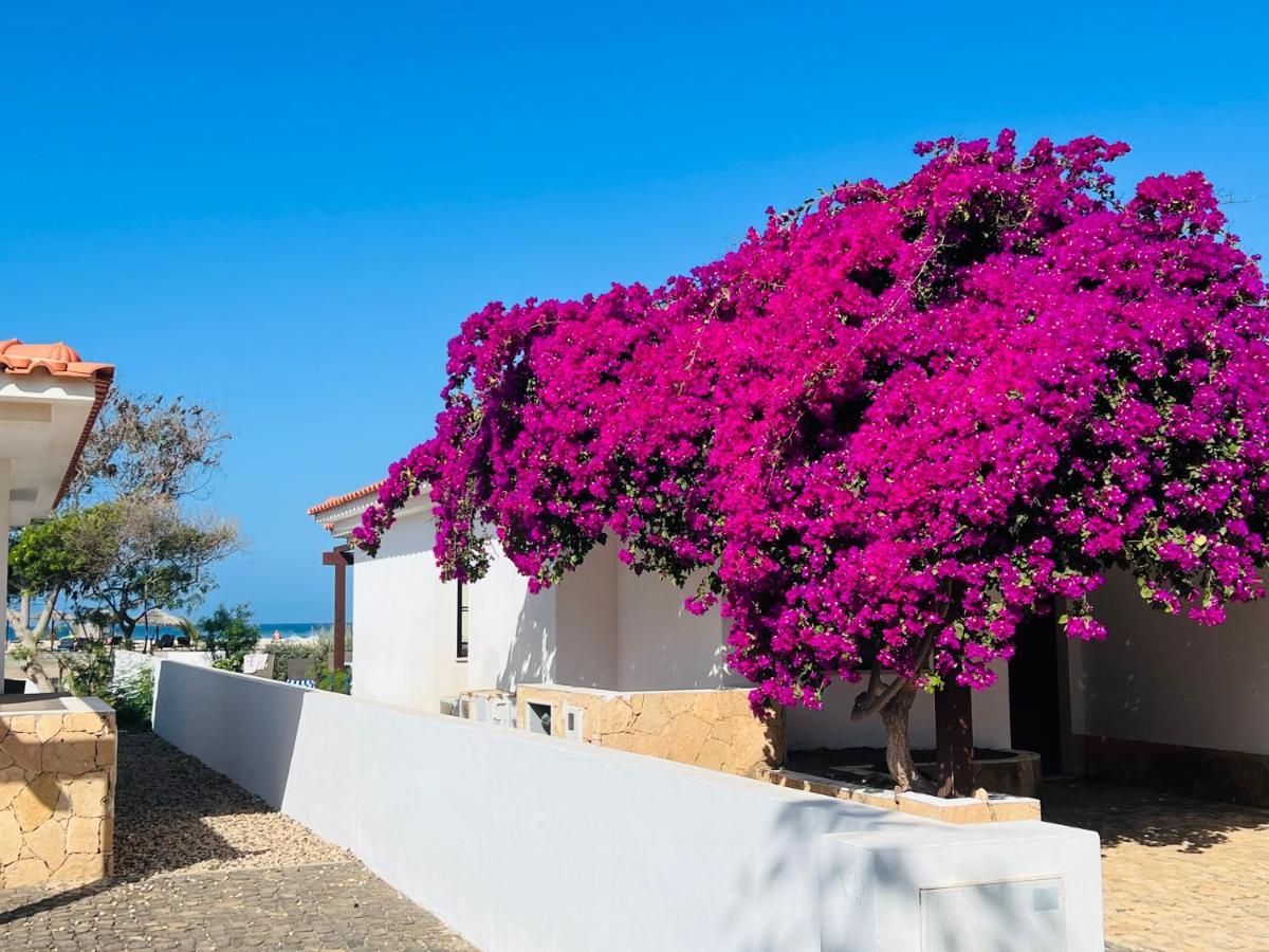 Villa With Privat Pool Near Beach Santa Maria Sal Kap Verde Zewnętrze zdjęcie